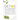 Detox Cleanse Your Body Quickly and Completely
