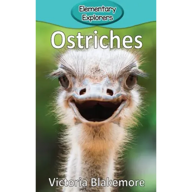Ostriches
