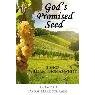 God's Promised Seed: Book Studies of Jesus the Christ