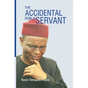 The Accidental Public Servant