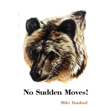 No Sudden Moves