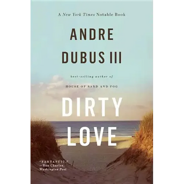 Dirty Love
