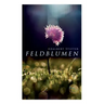 Feldblumen