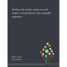 Dealing With Climate Change on Small Islands: Toward Effective and Sustainable Adaptation