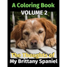 The Thoughts of My Brittany Spaniel: A Coloring Book Volume 2