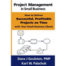 Project Management in Small Business - How to Deliver Successful, Profitable Projects on Time with Your Small Business Clients