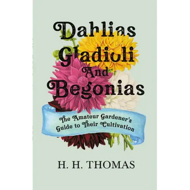 Dahlias, Gladioli and Begonias: The Amateur Gardener's Guide to Their Cultivation