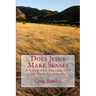 Does Jesus Make Sense?: A Layman's Perspective on God Incarnate
