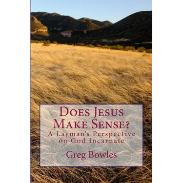 Does Jesus Make Sense?: A Layman's Perspective on God Incarnate