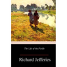 The Life of the Fields