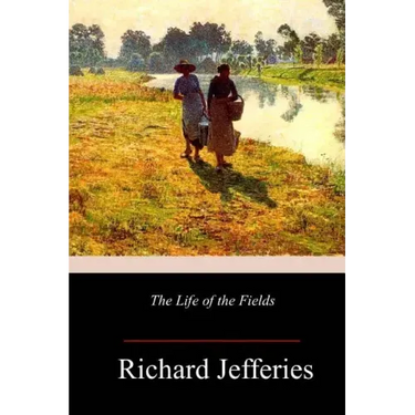 The Life of the Fields