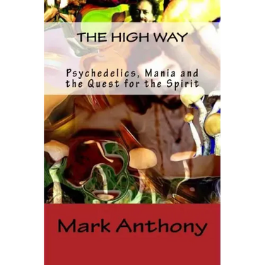 The High Way: Psychedelics, Mania and the Quest for the Spirit