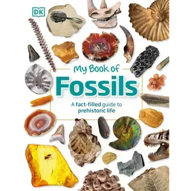 My Book of Fossils: A Fact-Filled Guide to Prehistoric Life
