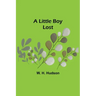 A Little Boy Lost