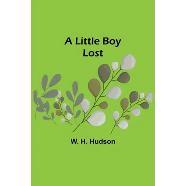 A Little Boy Lost