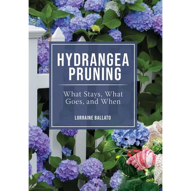 Hydrangea Pruning: What Stays, What Goes, and When