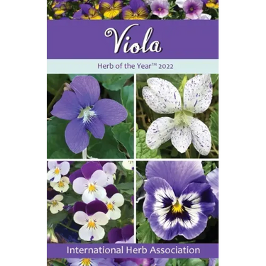 Viola: Herb of the Year(TM) 2022