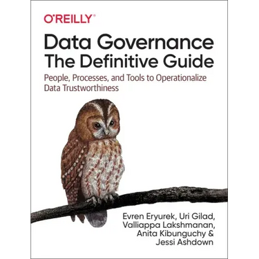 Data Governance: The Definitive Guide: People, Processes, and Tools to Operationalize Data Trustworthiness