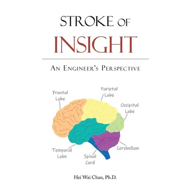 Stroke of Insight: An Engineer's Perspective