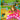 Paulina the Picky Princess and the Magic Garden
