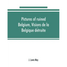 Pictures of ruined Belgium, Visions de la Belgique détruite