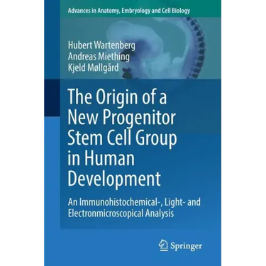 The Origin of a New Progenitor Stem Cell Group in Human Development: An Immunohistochemical-, Light- And Electronmicroscopical Analysis