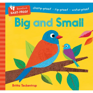 Barefoot Baby-Proof: Big and Small