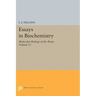 Essays in Biochemistry, Volume 33: Molecular Biology of the Brain
