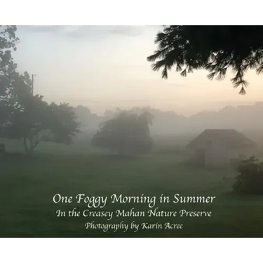 One Foggy Morning in Summer: In the Creasey Mahan Nature Preserve