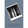 The Shroud of Turin: An Imprint of the Soul, Apparition or Quantum Bio-Hologram