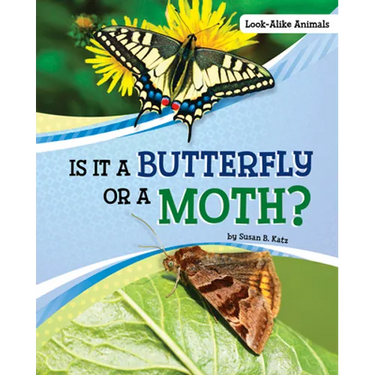 Is It a Butterfly or a Moth?