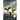 Like Feathers of a Wing: Fourth Book in the Rising Wind Series: Deep Informative and Pertinent