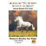 Andalusian "The Noblest Horse in the World" - Horse Books For Kids