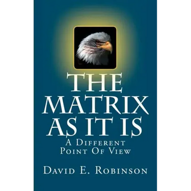 The Matrix As It Is: A Different Point Of View