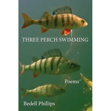 Three Perch Swimming