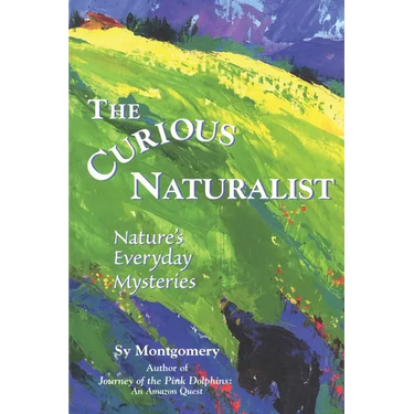 The Curious Naturalist: Nature's Everyday Mysteries