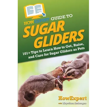 HowExpert Guide to Sugar Gliders: 101+ Tips to Learn How to Get, Raise, and Care for Sugar Gliders as Pets