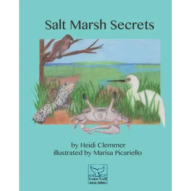 Salt Marsh Secrets