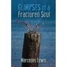 Glimpses of a Fractured Soul