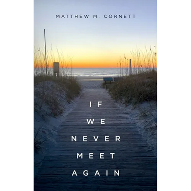 If We Never Meet Again
