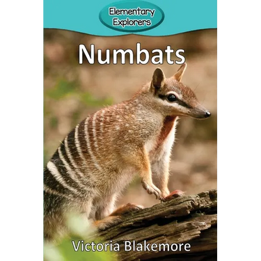 Numbats