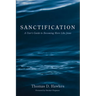 Sanctification: A User's Guide to Becoming More Like Jesus
