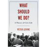 What Should We Do?: A Theory of Civic Life