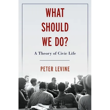 What Should We Do?: A Theory of Civic Life