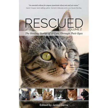 Rescued Volume 2: The Healing Stories of 12 Cats, Through Their Eyes