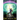 Dawn of Deoridium: The Shift Book One