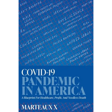 COVID-19 Pandemic In America: A Blueprint For Healthcare, Profit, And Needless Death
