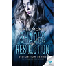 Shades Of Resolution