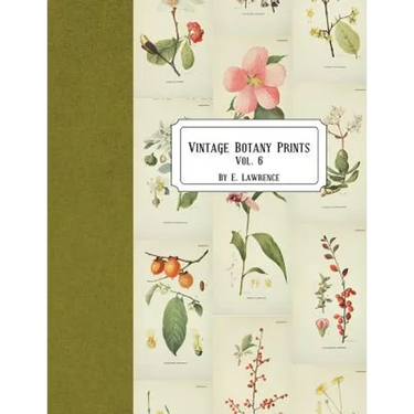 Vintage Botany Prints: Vol. 6