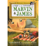A Trip to the Country for Marvin & James: The Masterpiece Adventures, Book Five